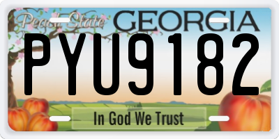 GA license plate PYU9182