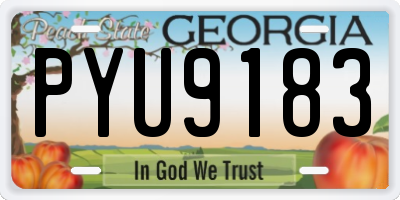 GA license plate PYU9183