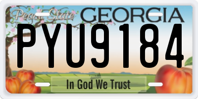 GA license plate PYU9184