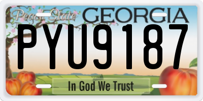 GA license plate PYU9187