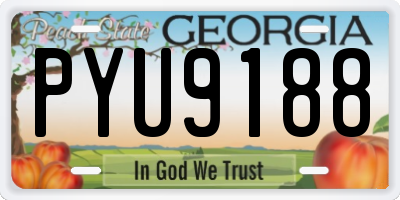 GA license plate PYU9188
