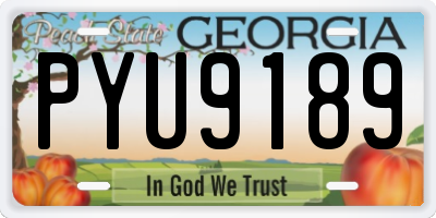 GA license plate PYU9189