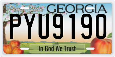 GA license plate PYU9190
