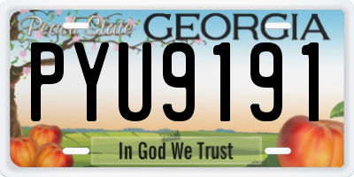 GA license plate PYU9191