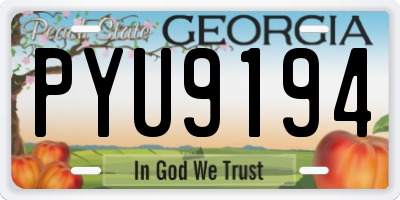 GA license plate PYU9194