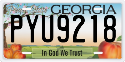 GA license plate PYU9218