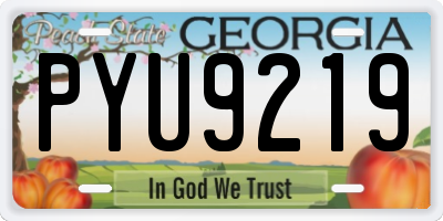 GA license plate PYU9219