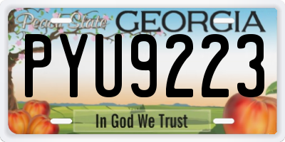 GA license plate PYU9223