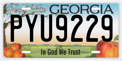 GA license plate PYU9229