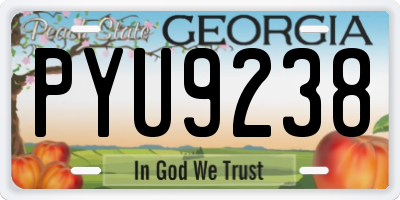GA license plate PYU9238
