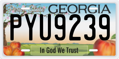 GA license plate PYU9239