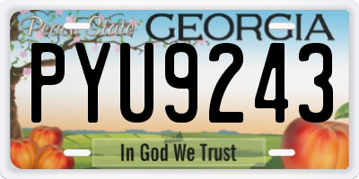 GA license plate PYU9243