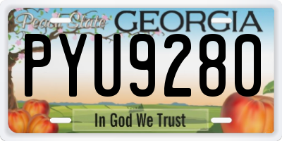 GA license plate PYU9280