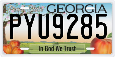 GA license plate PYU9285