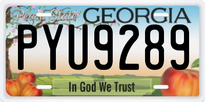 GA license plate PYU9289