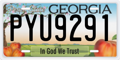 GA license plate PYU9291