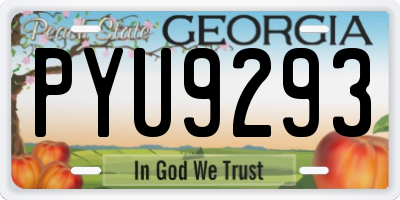 GA license plate PYU9293