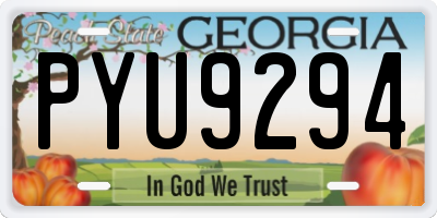 GA license plate PYU9294