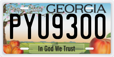 GA license plate PYU9300