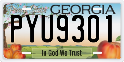 GA license plate PYU9301
