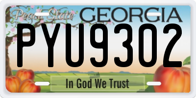 GA license plate PYU9302