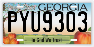 GA license plate PYU9303