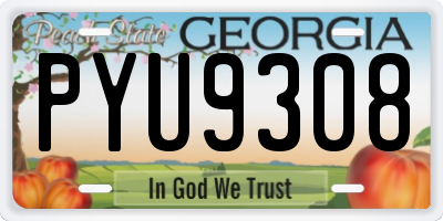 GA license plate PYU9308