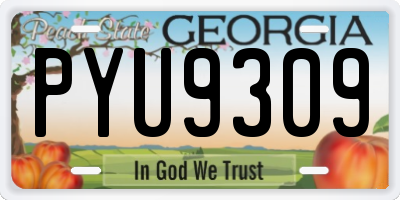 GA license plate PYU9309