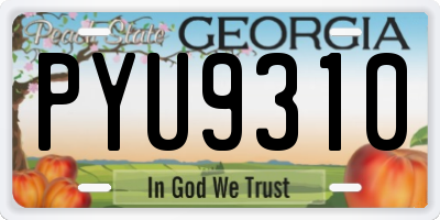 GA license plate PYU9310