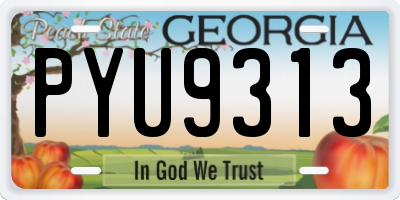 GA license plate PYU9313