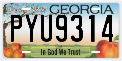 GA license plate PYU9314