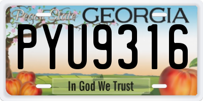 GA license plate PYU9316