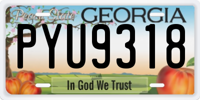 GA license plate PYU9318