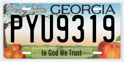 GA license plate PYU9319