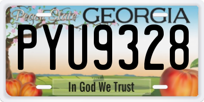 GA license plate PYU9328