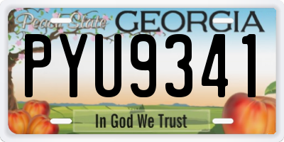 GA license plate PYU9341