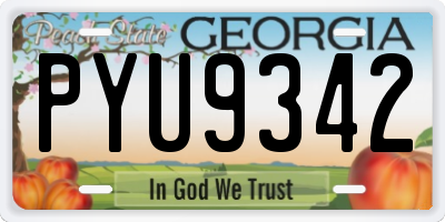 GA license plate PYU9342
