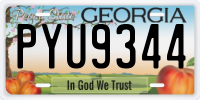 GA license plate PYU9344