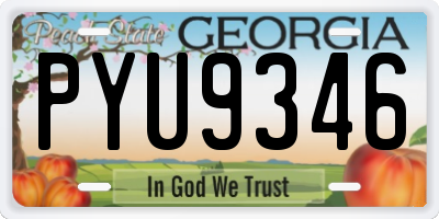 GA license plate PYU9346