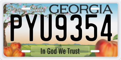 GA license plate PYU9354