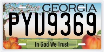 GA license plate PYU9369