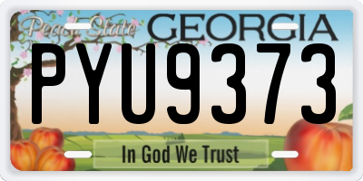GA license plate PYU9373