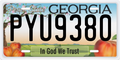 GA license plate PYU9380