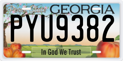 GA license plate PYU9382
