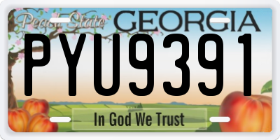 GA license plate PYU9391