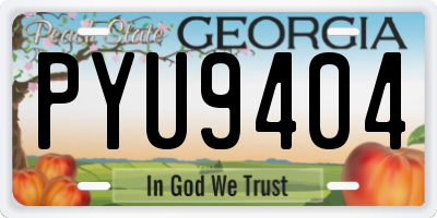 GA license plate PYU9404