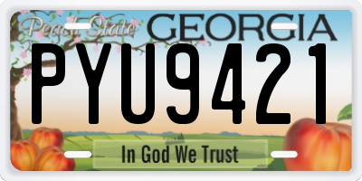 GA license plate PYU9421