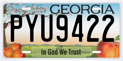 GA license plate PYU9422