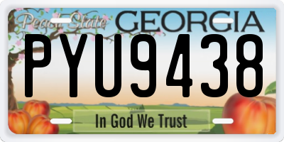 GA license plate PYU9438