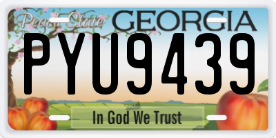 GA license plate PYU9439